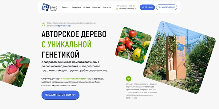 Создание сайта-каталога в Бресте